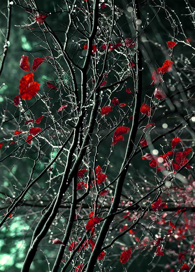 Branches and Green Leaves