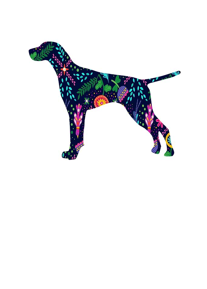 German Shorthair Pointer