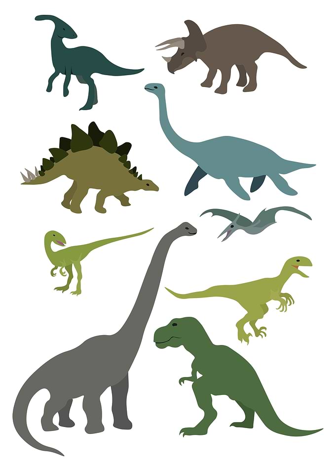 Dinosaurs Animals painted