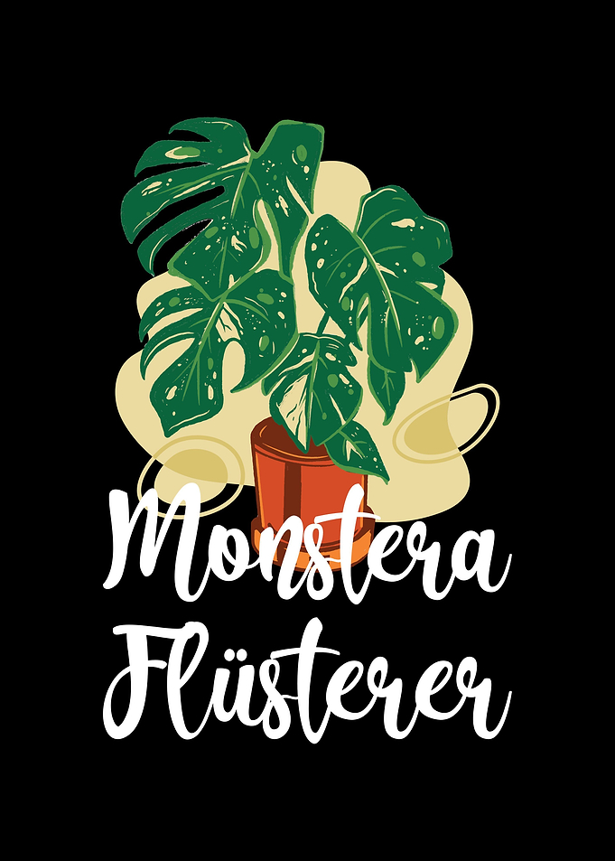 Zimmerpflanze Monstera