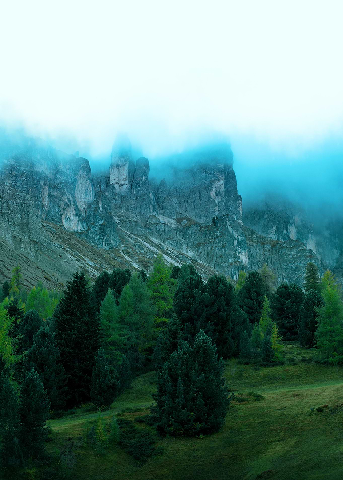 Mystic Green Foggy Trees