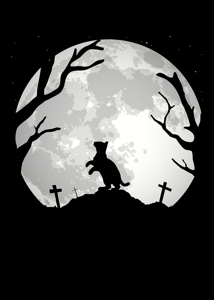 Halloween Cat