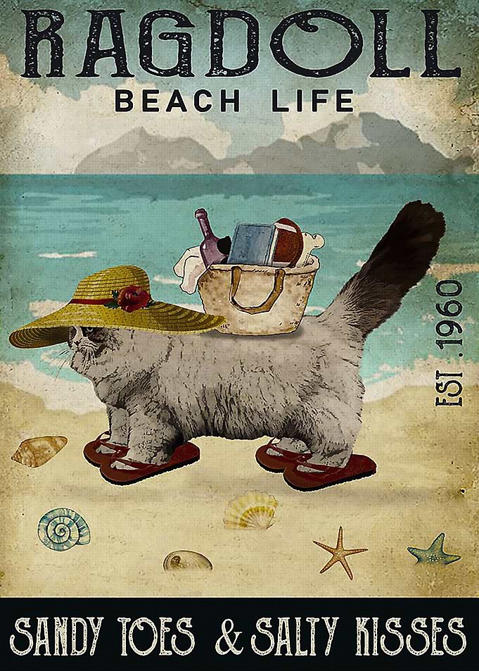 Ragdoll Cat