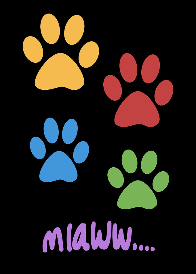 cute cat