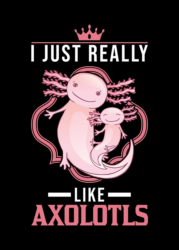 I Just Really Like