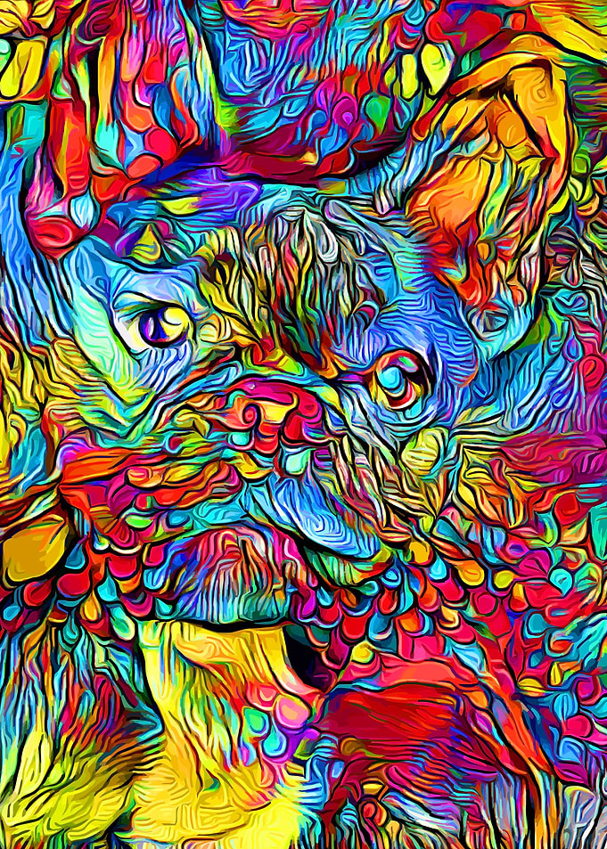 French Bulldog Colorful 4