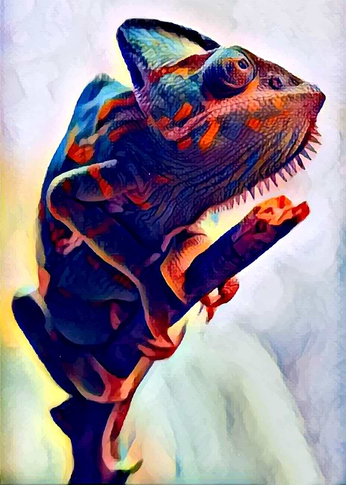 Looking for new colors