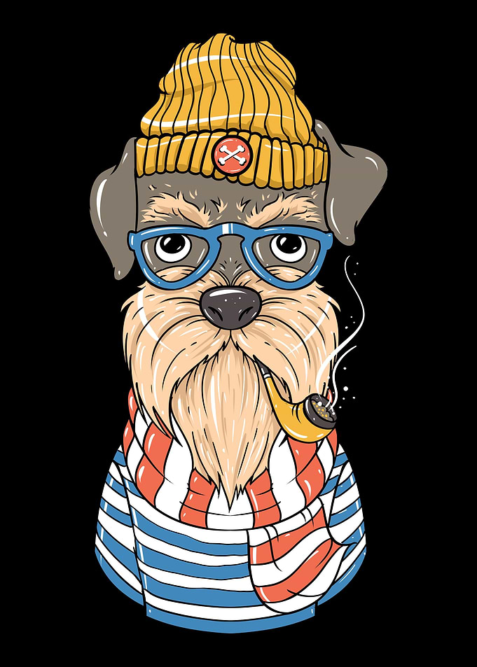 Schnauzer Dog