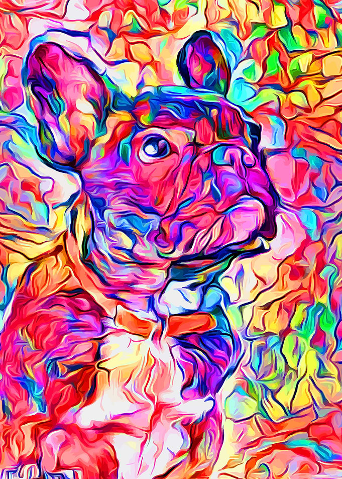 French Bulldog Colorful 5