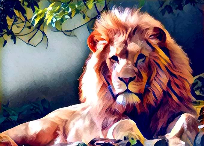 Lion King under the tree