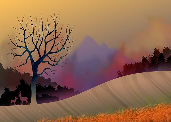 Mountain Purple Haze