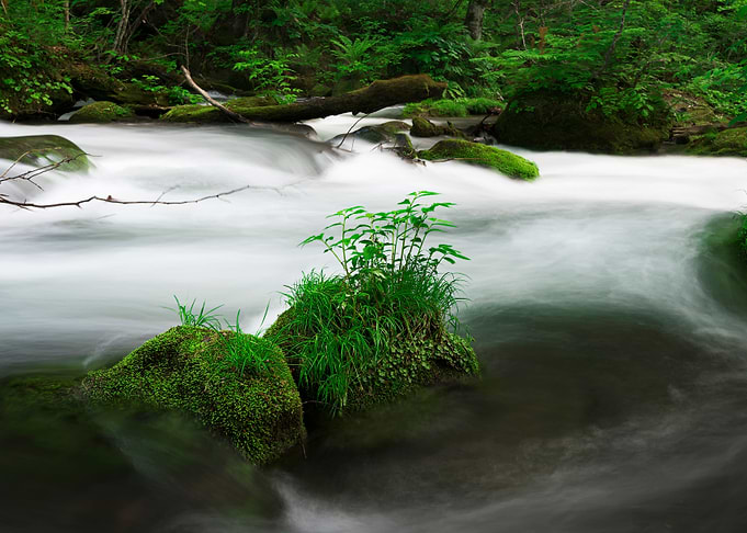 Spring green Oirase Creek