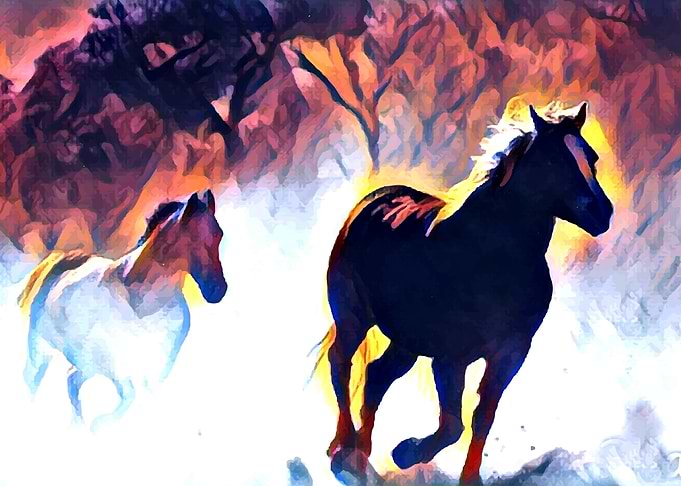 Horses in the mist