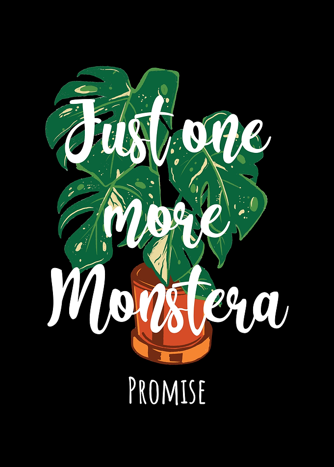 Just One More Monstera