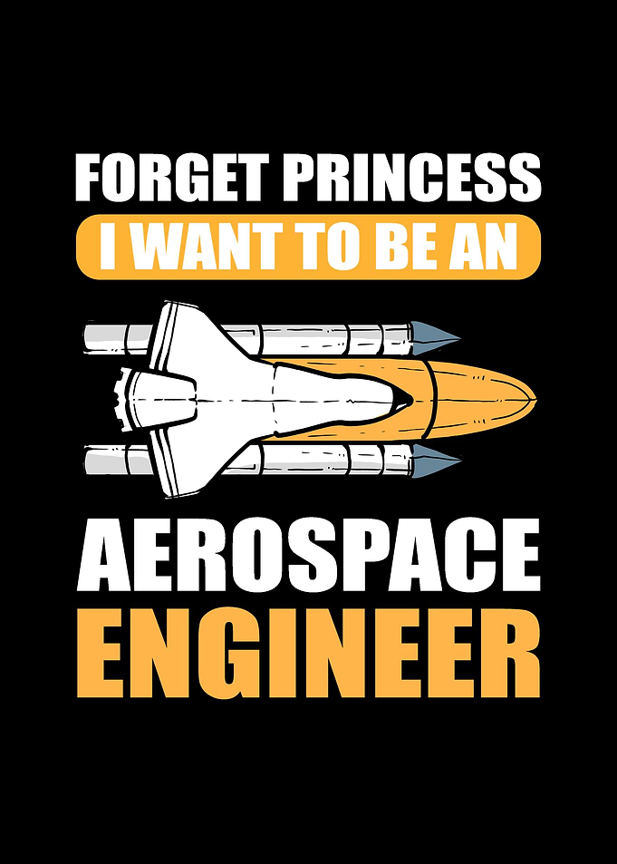 Aircraft Mechanic and