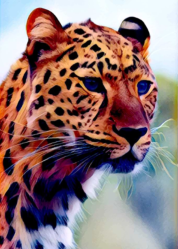 Ready to hunt