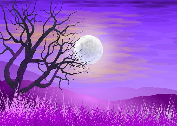 The Witch Night