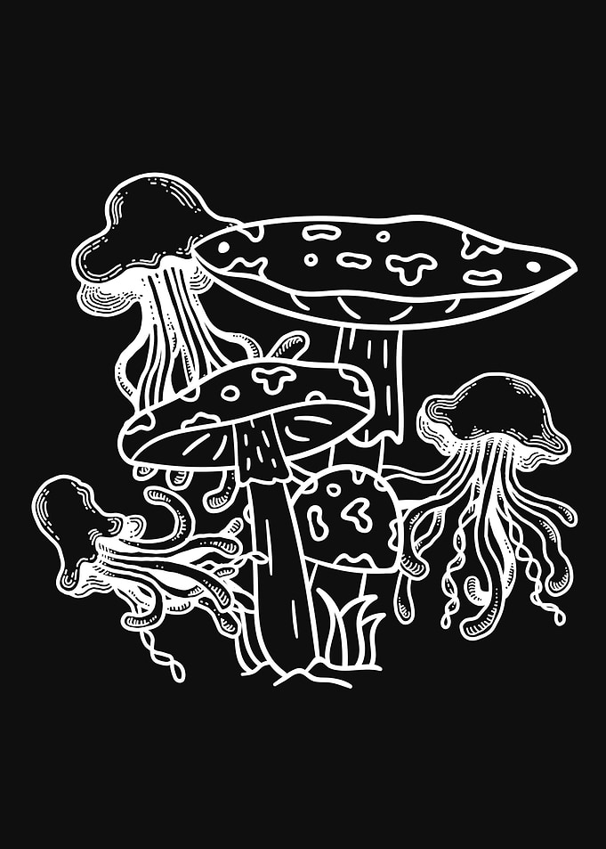 Cottagecore Mushroom Fungi