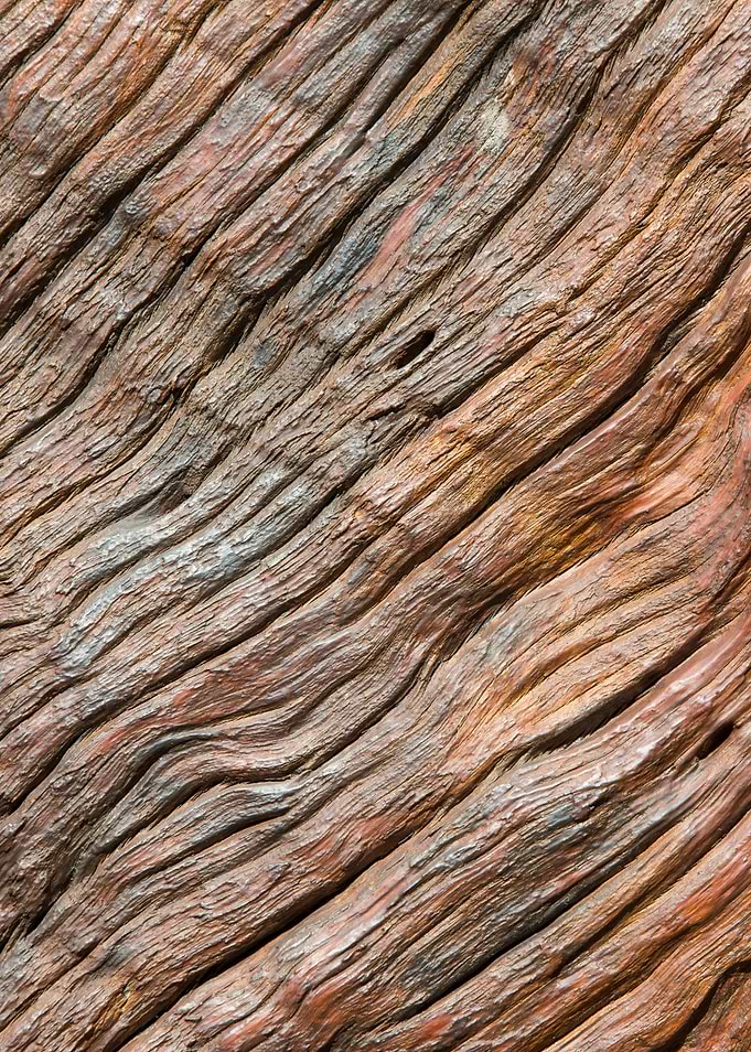 Old wood texture close up