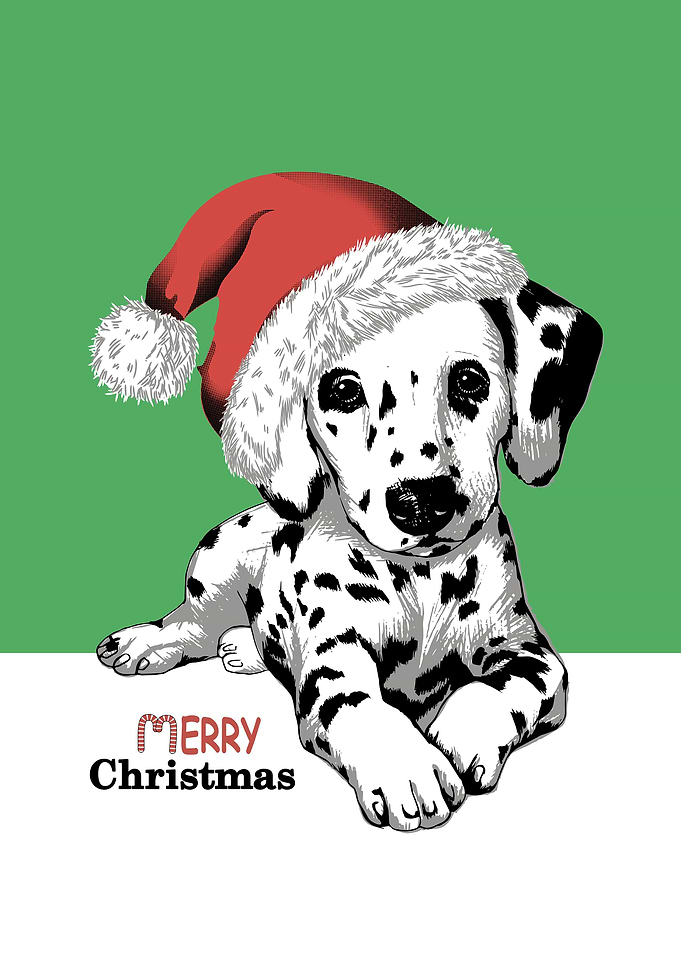 Christmas dog
