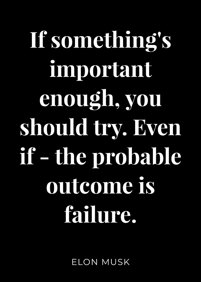 Elon Musk Quotes