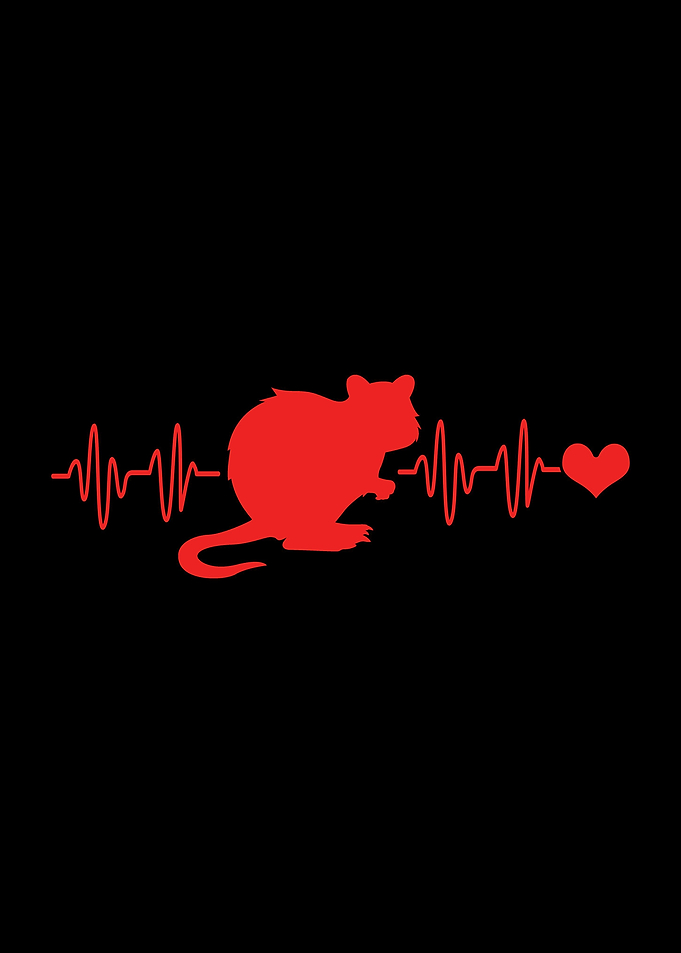 Quokka Heartbeat
