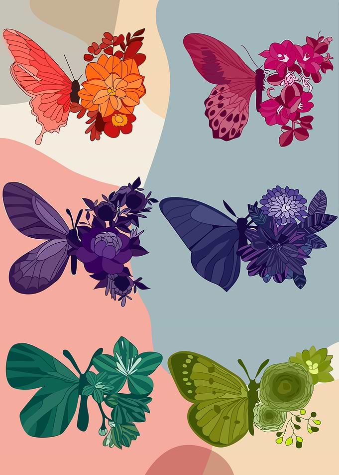 Butterfly