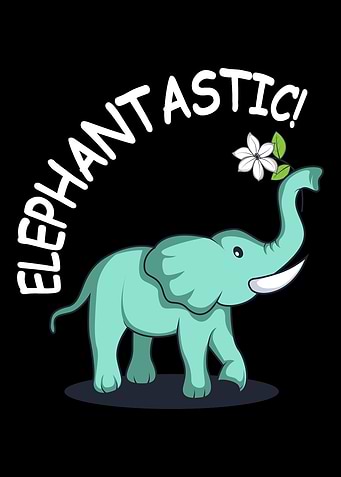Elephantastic Zoo Keeper G