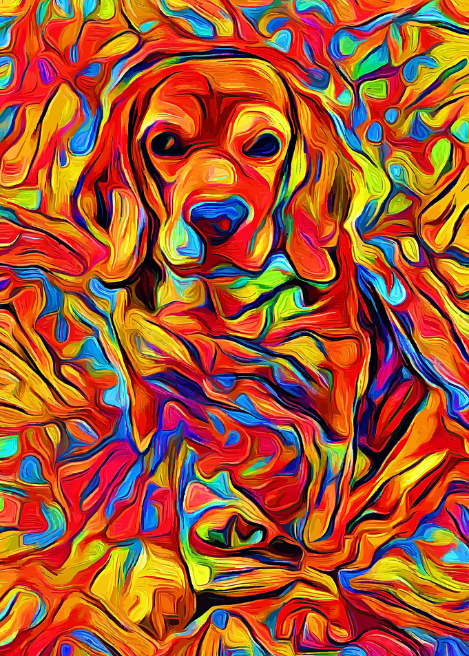 Beagle Color 1