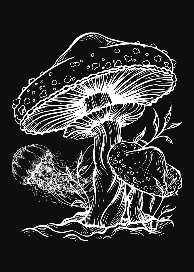 Cottagecore Mushroom Fungi