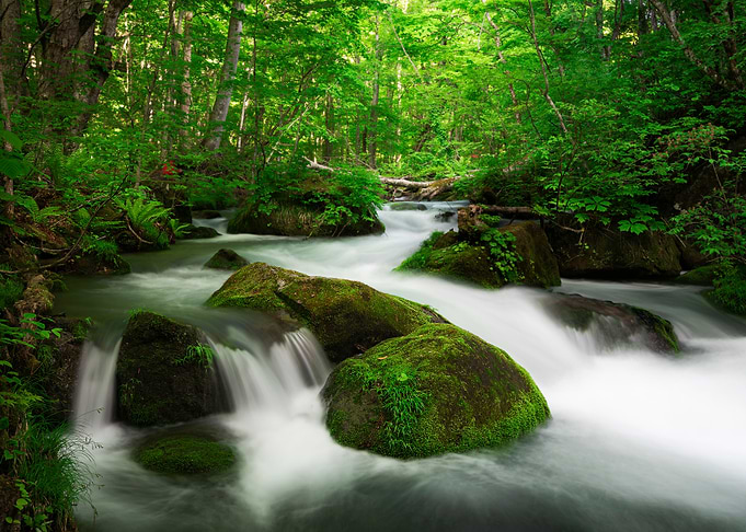 Spring green Oirase Creek