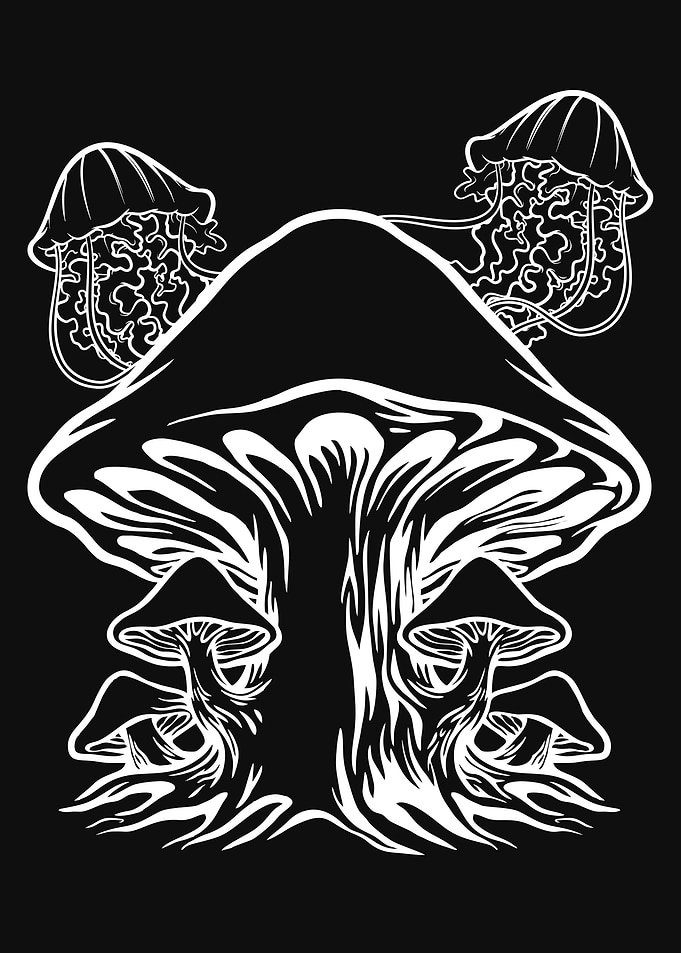 Cottagecore Mushroom Fungi