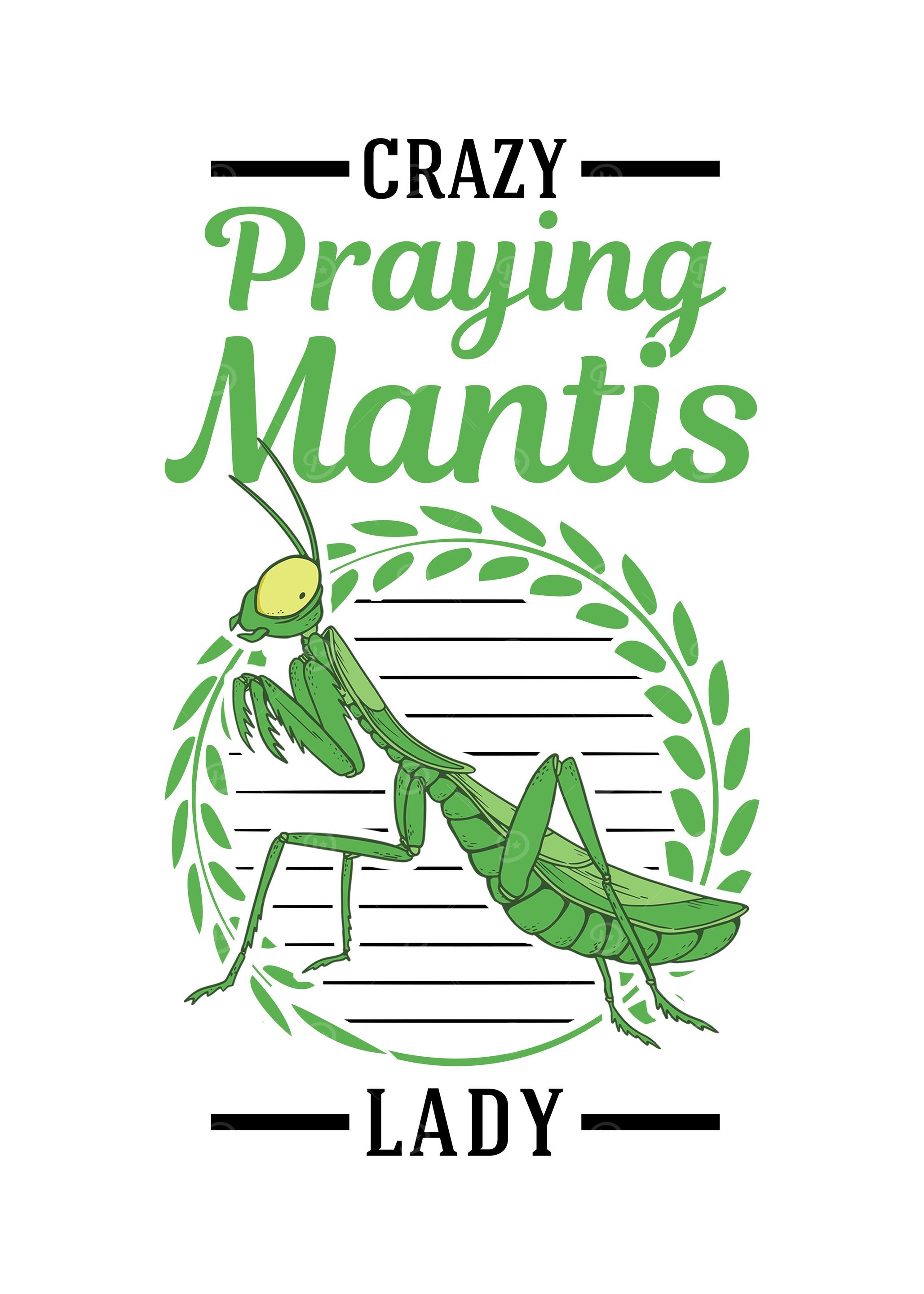 Crazy Praying Mantis Lady