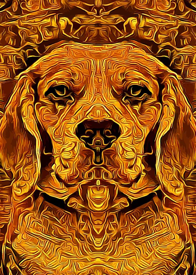 Beagle Gold 2