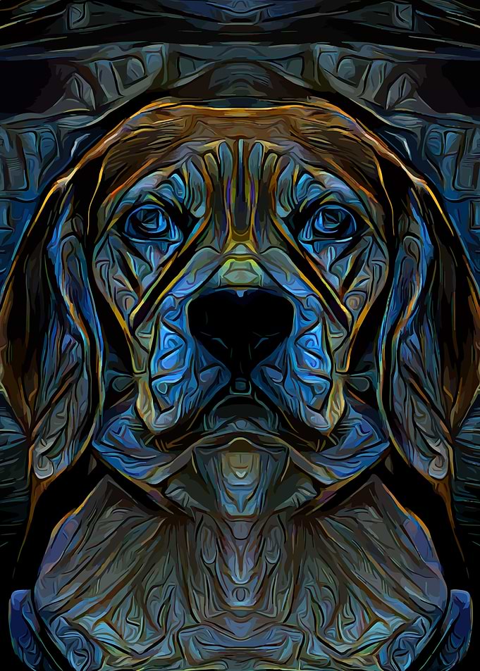 Beagle Dark