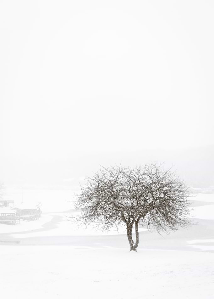 Appel Valley December 2020