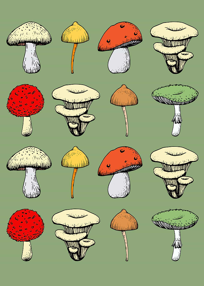 Cottagecore Mushroom Fungi