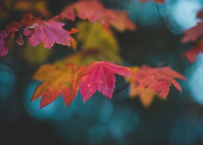 Autumn breath