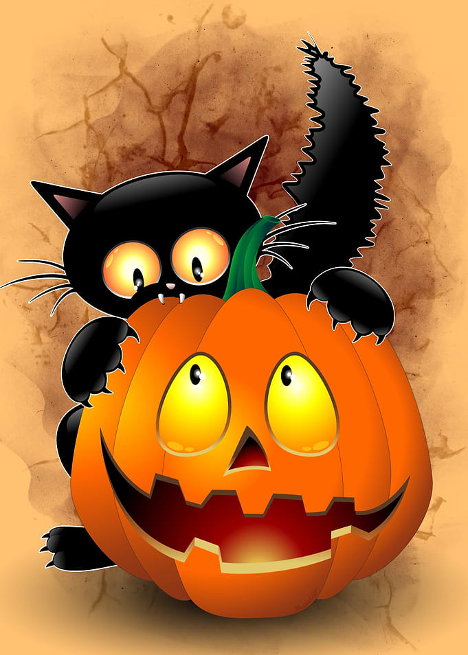 Cat Cartoon biting Pumpkin