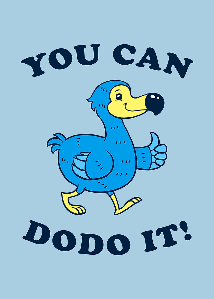 You Can DoDo It