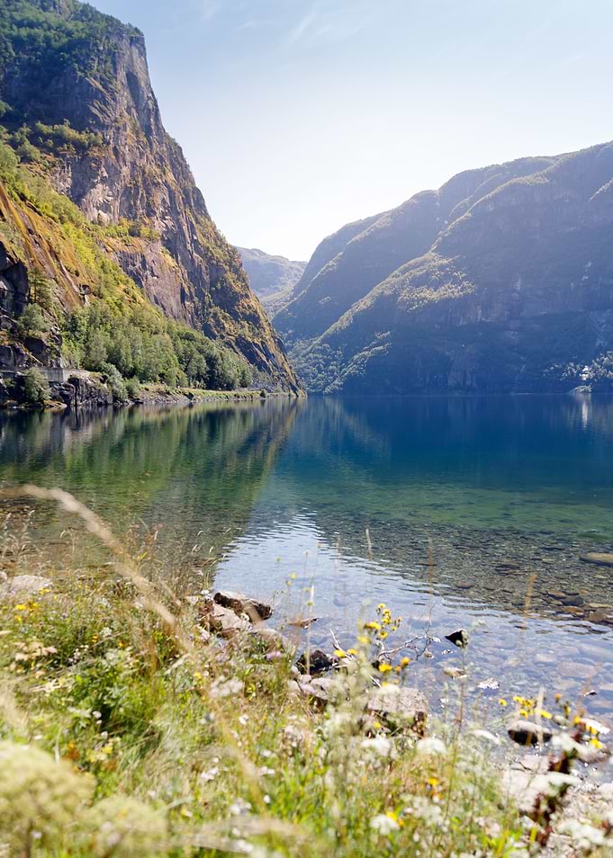 Flowers by Mountain Lake