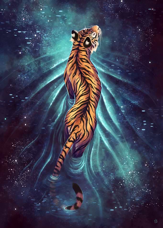 Walk amongst the Stars