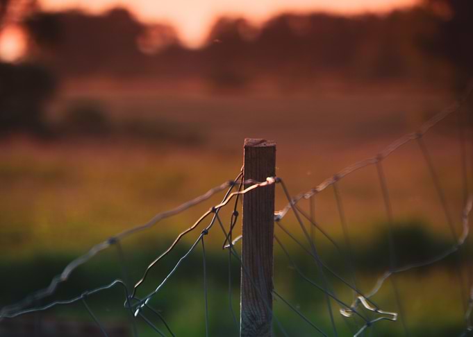 Field
