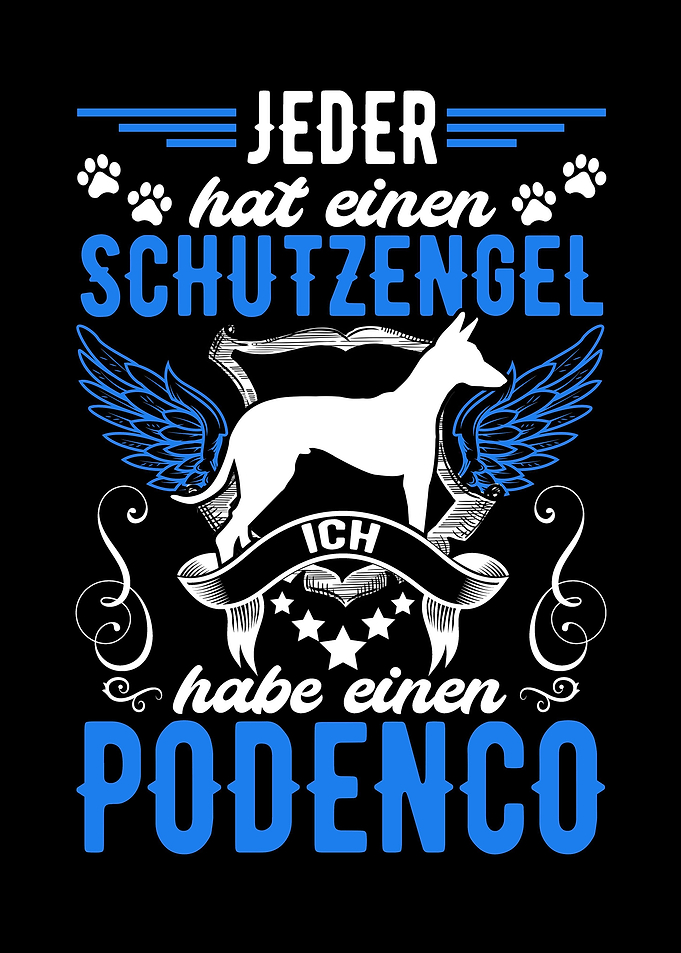 Podenco Canario