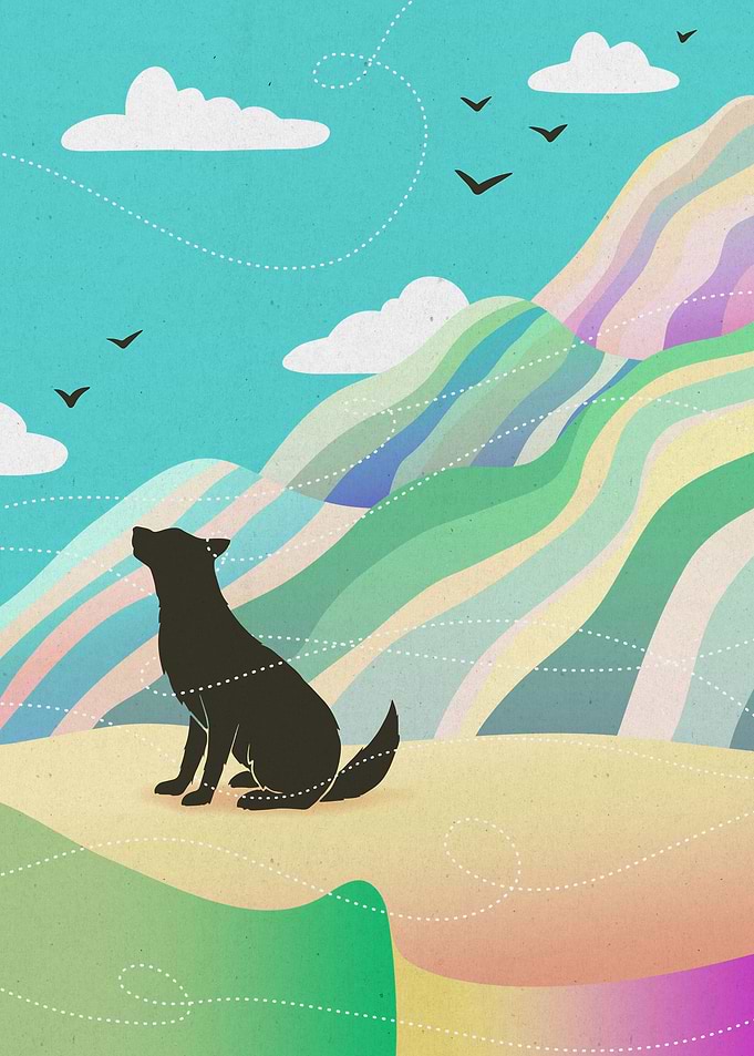 Wind in the Canyon