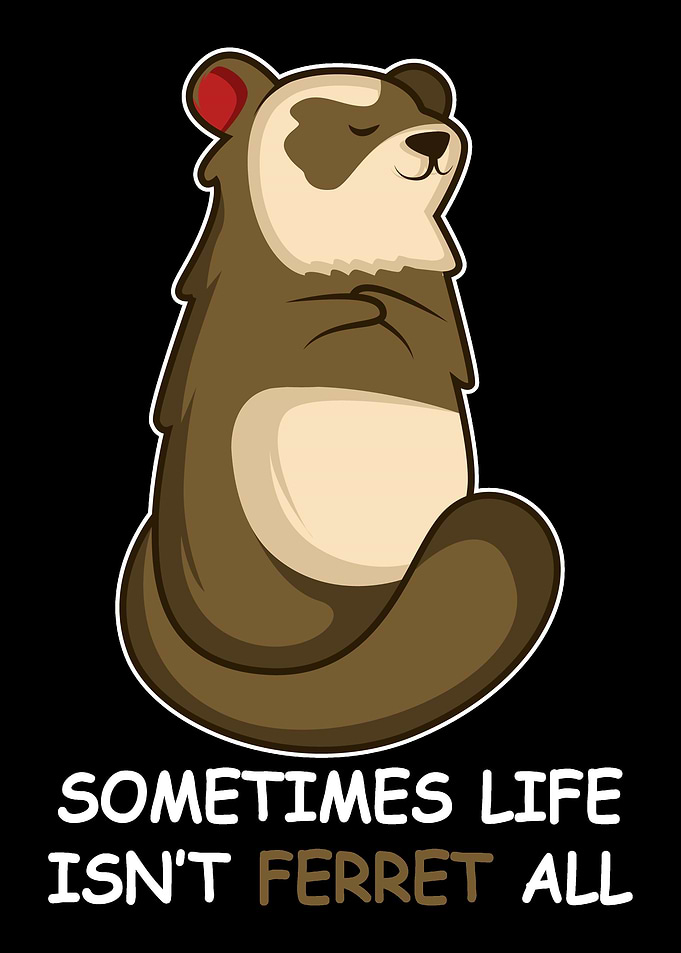 Isnt Ferret All Ferret Lo