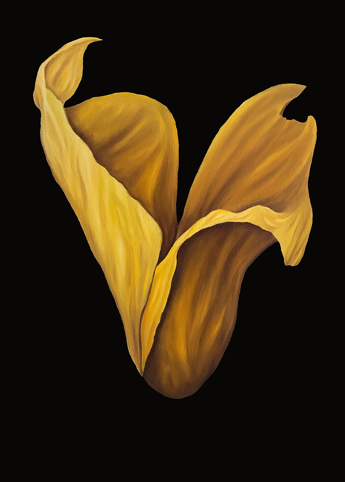 Dancing Tulip