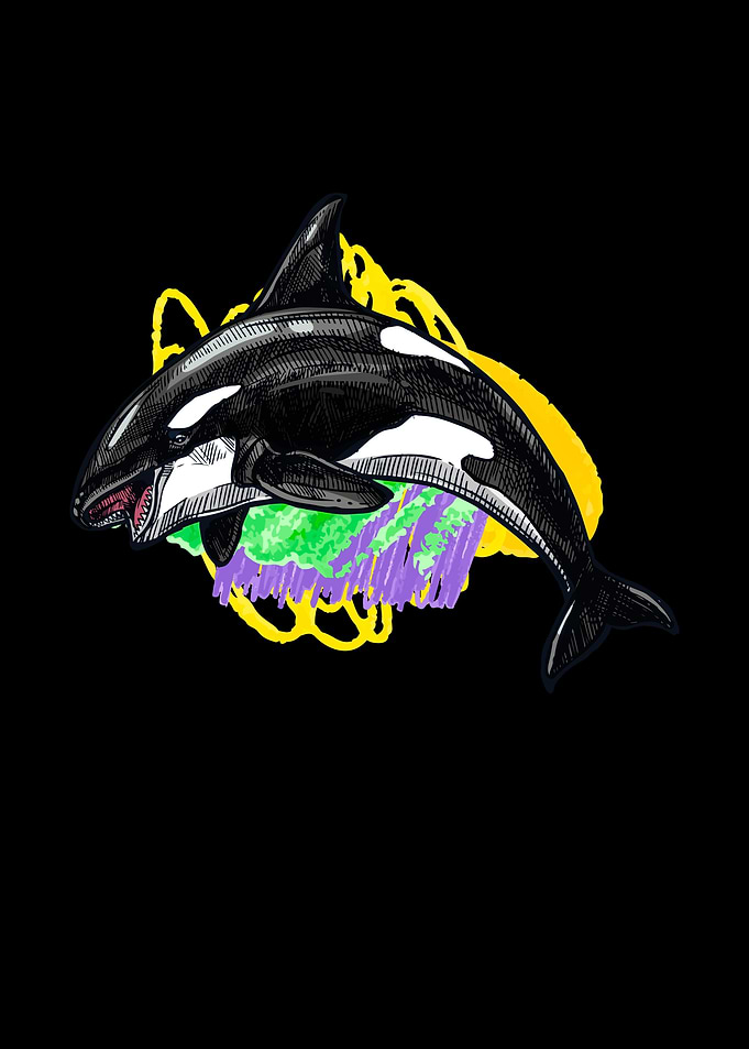 Orca