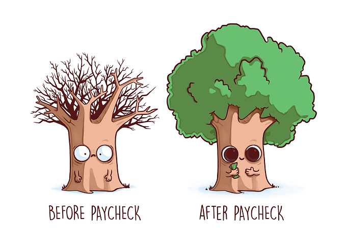 Before After Paychek