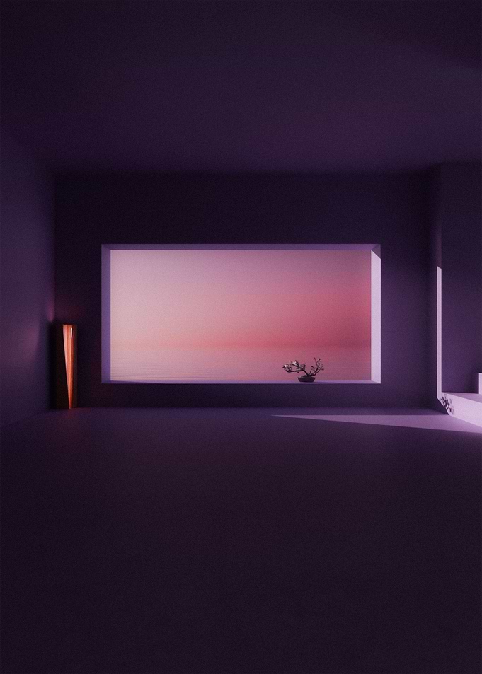Bonsai Sunset